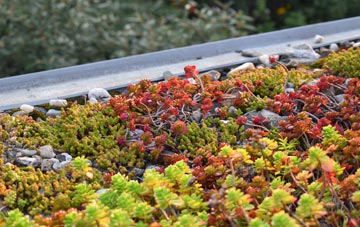 the cost of Stape green roof installation