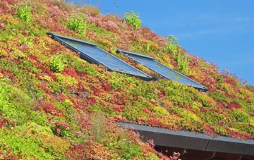 Stape living roof systems