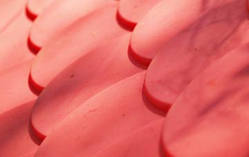 Stape plastic roof costs