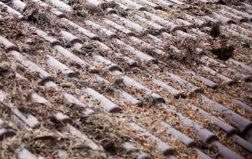 Stape roof cleaning companies