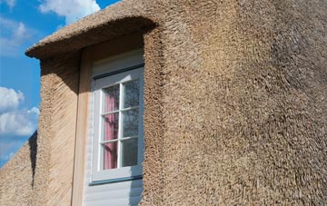 Stape thatch roof disadvantages